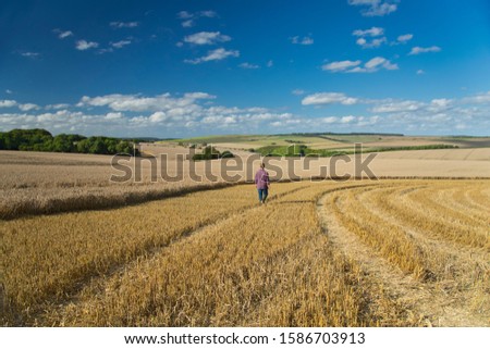 Similar – Image, Stock Photo stubble field Landscape