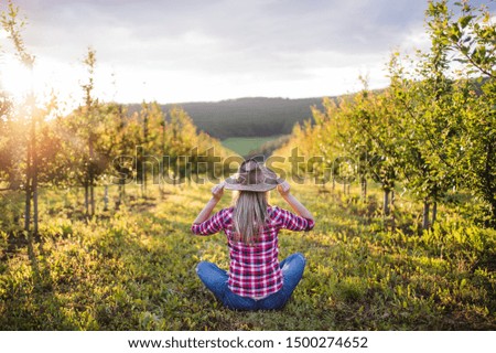 A rear view of female farmer sitting outdoors in orchard. Copy space.