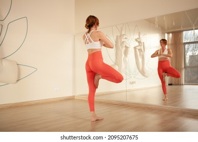 Rear View Full Length Shot Of A Woman Standing In Tree Pose Asana In Front Of The Mirror At Yoga Studio