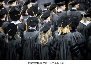 Rear view of graduate students in black cap and gown at a college of law graduation ceremony, with space for text on top