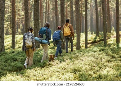 Rear view of group of people with backpacks walking along the path in the forest during their hiking - Powered by Shutterstock
