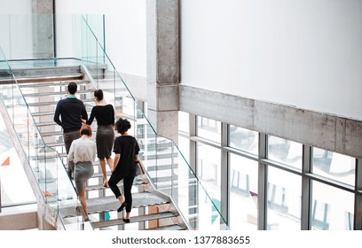 Rear view of group of young businesspeople walking up the stairs.