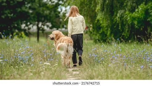 Rear View Of A Little Girl Walking Dog On Flowering Meadow