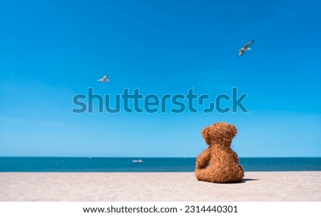 Rear view Lonely Teddy bear doll sitting alone by the beach with blue sea and sky background.Rae view  Brown bear toy sitting alone watching at ocean with blurry birds flying on sky.Loneliness concept