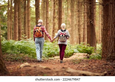 Rear View Of Loving Retired Senior Couple Holding Hands Hiking In Woodland Countryside Together - Powered by Shutterstock