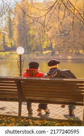 Rear View Of Loving Senior Couple On Park Bench In Autumn In Sunny Day