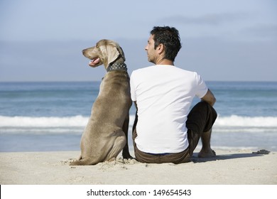 Rear View Of A Man And Dog Sitting On Beach