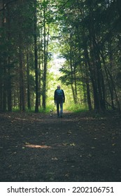 Rear View Of A Man And A Small Dog On A Path In The Forest. Nature Autumn Background.