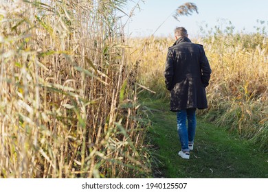 Rear view of a man in warm winter overcoat relaxing in nature walking away between stands of coastal reeds in evening light in an active lifestyle concept
