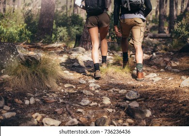 Rear view of man and woman hikers trekking a rocky path in forest. Hiker couple exploring nature walking through the woods.