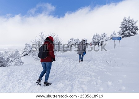 Similar – Image, Stock Photo Rear view of snow-covered car at night