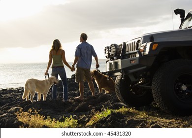 Rear view of a man and woman holding hands and relaxing with their dogs at a beach with the edge of an SUV visible in the foreground. Horizontal format. - Shutterstock ID 45431320
