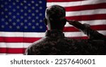 Rear View Of Military Man Saluting Us Flag