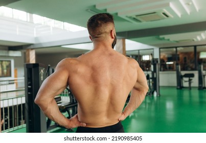 Rear View Muscular Man Showing Back Muscles At The Gym. Strong Male Naked Torso, Workout