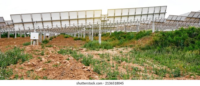 Rear View Of Neatly Arranged Solar Photovoltaic Panels