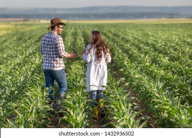 Rear View Od Farmer With Hat And Woman Agronomist In White Coat Walking In Corn Field