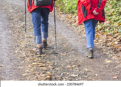 Rear View The An Older Couple Hiking On Path In Woods