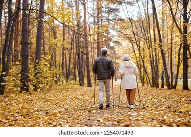 Rear view on elderly couple in love engaged in Nordic walking going in autumn nature park, forest. Concept of active elderly people during retirement. Everyday joy lifestyle without age limitation. - Shutterstock ID 2254071493