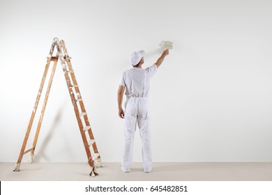 Rear view of painter man looking and painting blank wall, with paint brush and wooden ladder, isolated on white big space