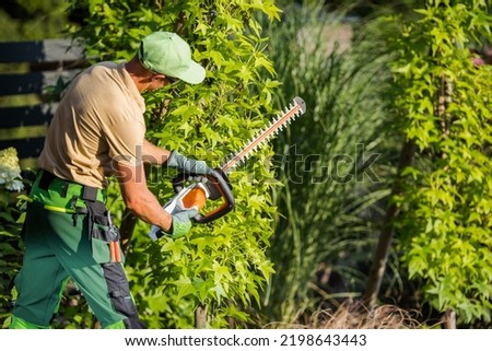 Rear View Photo of Caucasian Gardener Trimming Green Plant with the Use of Power Hedge Trimmer Gardening Equipment. Professional Landscape Design Care and Maintenance Services.
