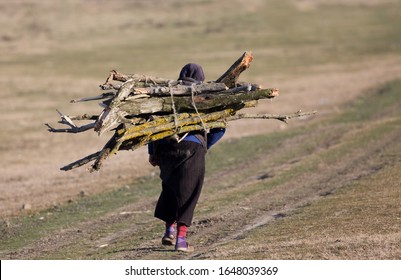 Rear view of poor old lady carrying firewoods on her back in winter for heating home - Powered by Shutterstock