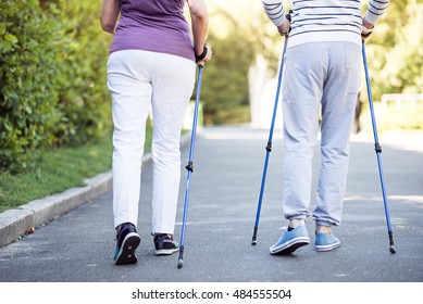 Rear View Of Senior Couple Walking Along Summer Park