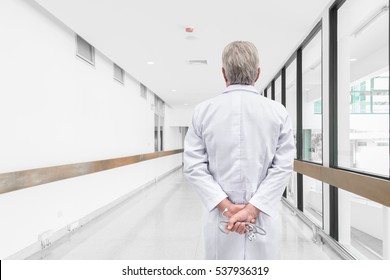 Rear View Senior Doctor Looking At The Hospital Hallway