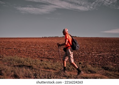 Rear View Of Senior Man Hiking In Nature