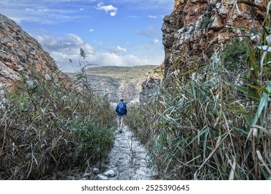 Rear view of a senior man hiking through the beautiful mountainous wilderness surrounded by long grasses - Powered by Shutterstock