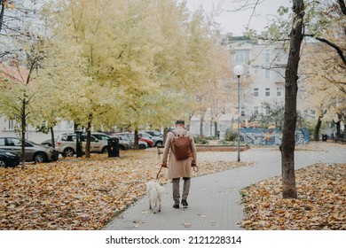 Rear View Of Senior Man Walking His Dog Outdoors In Park On Autumn Day.