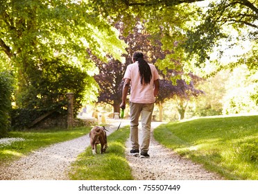 2,286 Walking dog from behind Images, Stock Photos & Vectors | Shutterstock