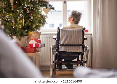 Imagenes Fotos De Stock Y Vectores Sobre Seniors Christmas