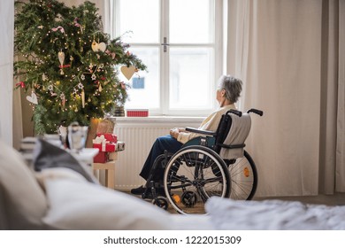 Imagenes Fotos De Stock Y Vectores Sobre Seniors Christmas