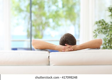 Rear View Of A Single Man Relaxed On A Couch At Home And Looking The Green Background Outdoors Through The Window In The Livingroom