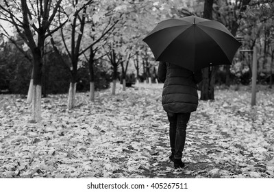 Rear View Of Single Woman In Thick Winter Coat Holding Umbrella While Walking Along Path With Fallen Leaves And Neat Rows Of Trees