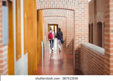 Rear View Of Students In The Hallway At University