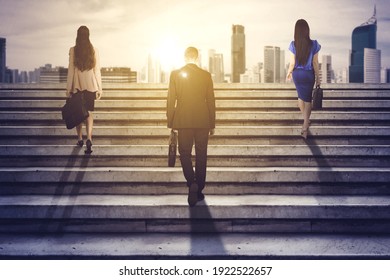 Rear view of three business people carrying suitcase while climbing stairs toward bright modern city background