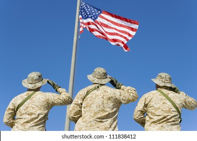 Rear view of three soldiers saluting an American flag
