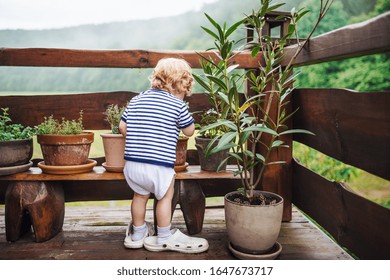 Rear view of toddler boy standing outdoors on a terrace in summer. - Shutterstock ID 1647673717