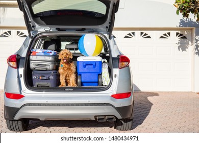 Rear View Of Trunk Space Of SUV With Car Packed For A Trip To The Beach With Family Dog.