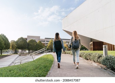 Rear view of two college classmates leaving the university together while talking.