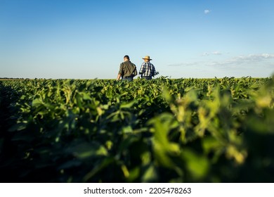 Rear view of two farmers in a field examining soy crop. - Shutterstock ID 2205478263