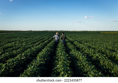 Rear view of two farmers in a field examining soy crop. - Shutterstock ID 2221435877