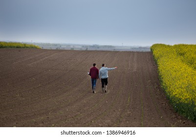 Rear view of two farmers with laptop walking on young corn beside yellow rapeseed 