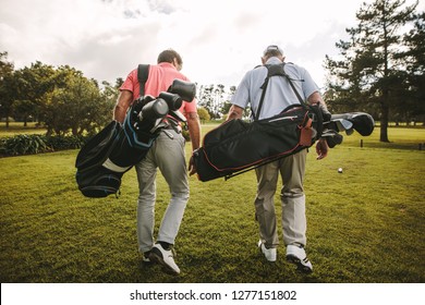 Rear view of two senior golf players walking together in the golf course with their golf bags. Senior golfers walking out of the course after the game.