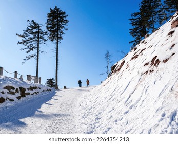 rear view of unrecognizable couple walking in snow climbing in mountains without special equipments cold winter - clear blue sky hiking on a clear day in Germany - Powered by Shutterstock