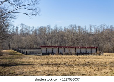 Rear View Of Wall Of Mirrors At An Outdoor Dressage Ring, Winter, Horizontal Aspect