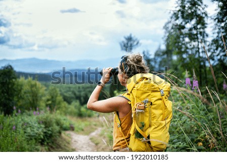 Similar – Foto Bild Waldweg Abenteuer