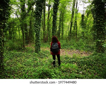 A Rear View Of A Woman Looking At Th Trees Covered With Crawling Vines In The Forest In Italy