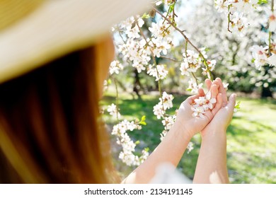 Rear view of woman touching blossom almond trees leaves in springtime. Horizontal cropped view of unrecognizable woman smelling white flowers in almond tree. Nature and springtime blooming flowers.